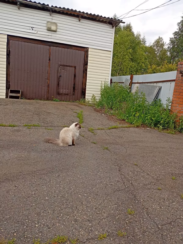 Post of August 24, 2025