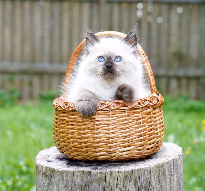 Post of July 23, 2024