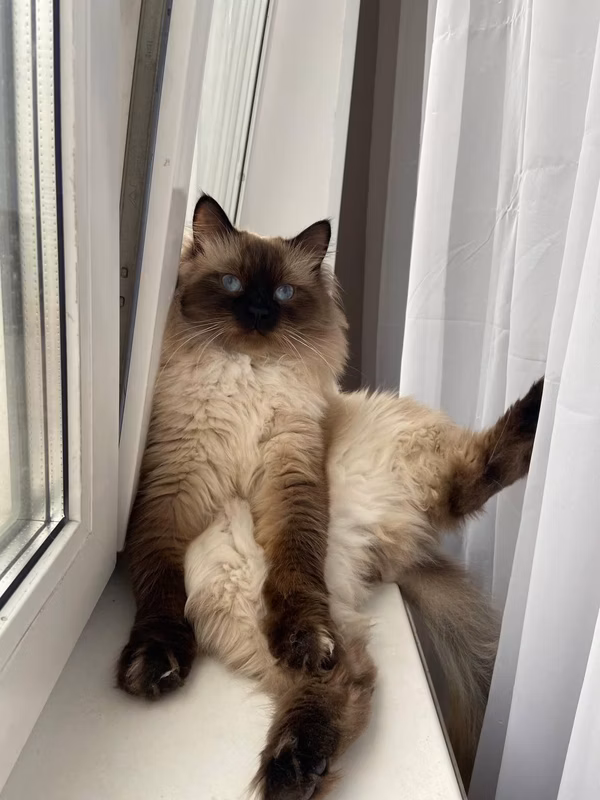 Marcel, a year and a half. Thanks to Anna for the photo