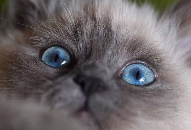 I decided to send my eyes close-up