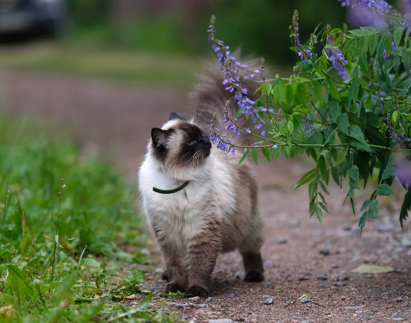Wisdom is on a walk with us today